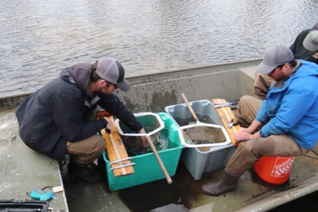 Watershed Management Biologist Derek Maki and Watershed Management Specialists Jaden Gallardo and Trenton Foreman with Colorado State University conduct a fish survey April 22, 2025, at Stillwell Lake on South Post at Fort McCoy, Wis. They...