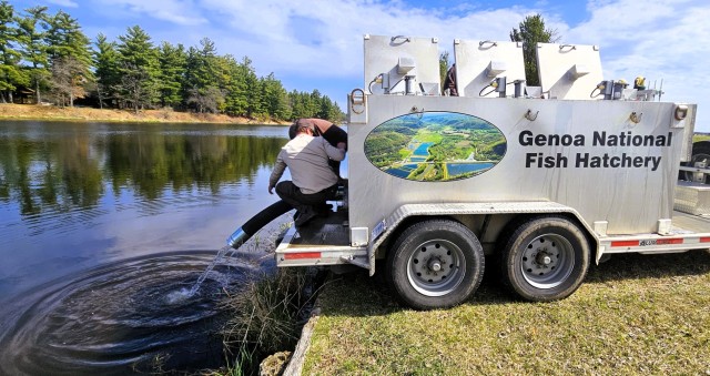 U.S. Fish and Wildlife Service (USFWS) employees stock rainbow trout April 23, 2025, in Suukjak Sep Lake on North Post at Fort McCoy, Wis. Approximately 15,000 rainbow trout were stocked at several lakes and ponds at Fort McCoy by the USFWS Genoa...