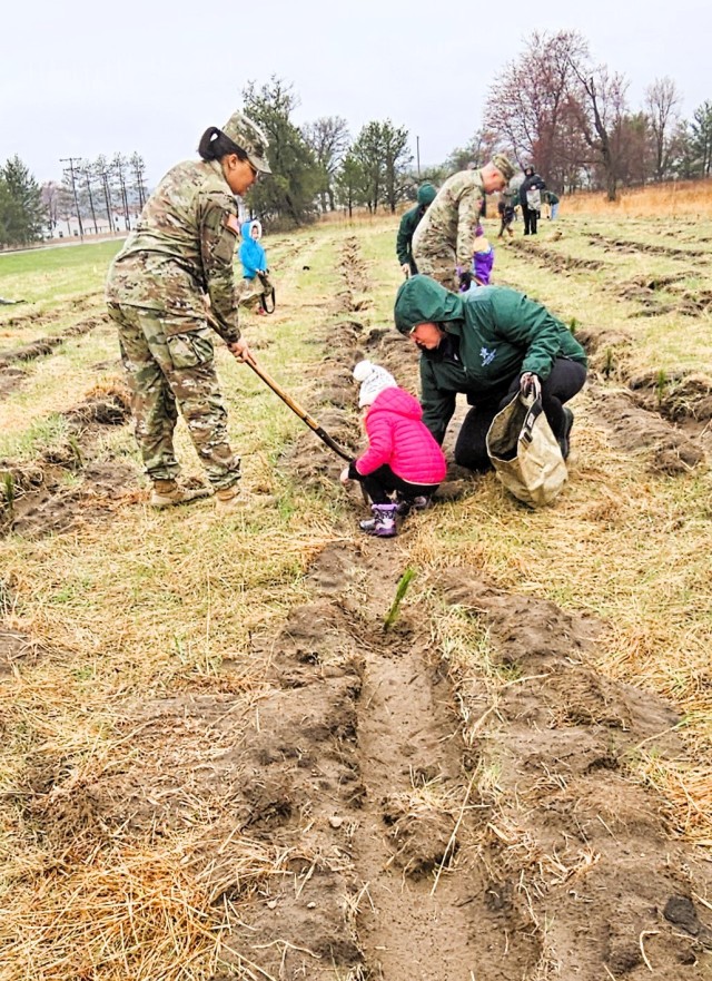 Fort McCoy community members plant trees April 25, 2025, during a tree-planting event at Fort McCoy, Wis. Dozens of community members planted 500 trees on the installation cantonment to establish a tree break. The installation also received its...