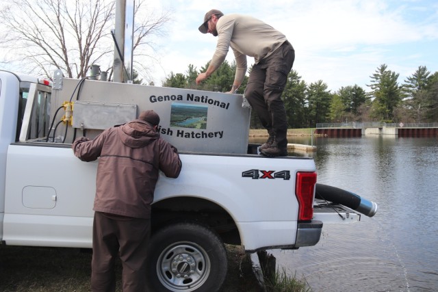 U.S. Fish and Wildlife Service (USFWS) employees stock rainbow trout April 23, 2025, in Suukjak Sep Lake on North Post at Fort McCoy, Wis. Approximately 15,000 rainbow trout were stocked at several lakes and ponds at Fort McCoy by the USFWS Genoa...