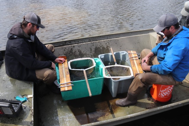 Watershed Management Biologist Derek Maki and Watershed Management Specialists Jaden Gallardo and Trenton Foreman with Colorado State University conduct a fish survey April 22, 2025, at Stillwell Lake on South Post at Fort McCoy, Wis. They...