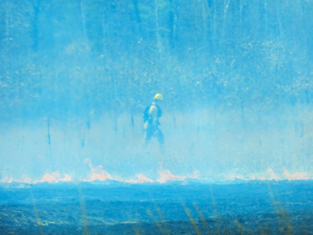Members of the Fort McCoy prescribed burn team oversee a prescribed burn April 23, 2025, on Badger Drop Zone on South Post at Fort McCoy, Wis. The post prescribed burn team includes personnel with the Fort McCoy Directorate of Emergency Services...