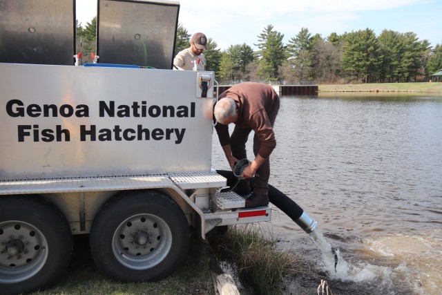U.S. Fish and Wildlife Service (USFWS) employees stock rainbow trout April 23, 2025, in Suukjak Sep Lake on North Post at Fort McCoy, Wis. Approximately 15,000 rainbow trout were stocked at several lakes and ponds at Fort McCoy by the USFWS Genoa...