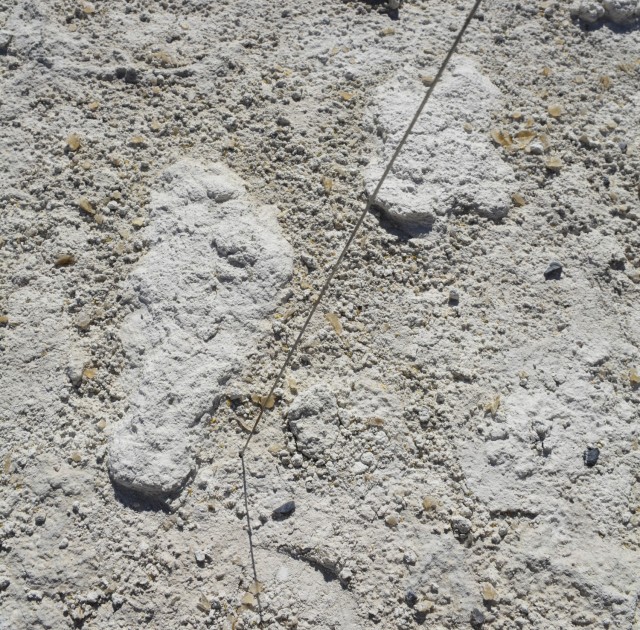 Human footprint