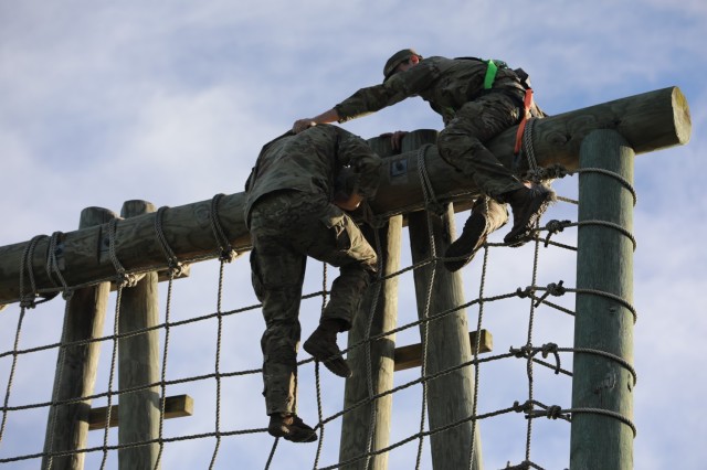 Helping Hoist