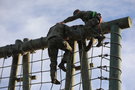 Helping Hoist