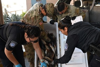 Arizona National Guard’s Task Force SAFE Strengthens Border Security