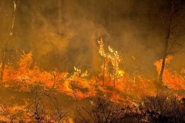 LEAD Employees Recognized for local Wildfire Support