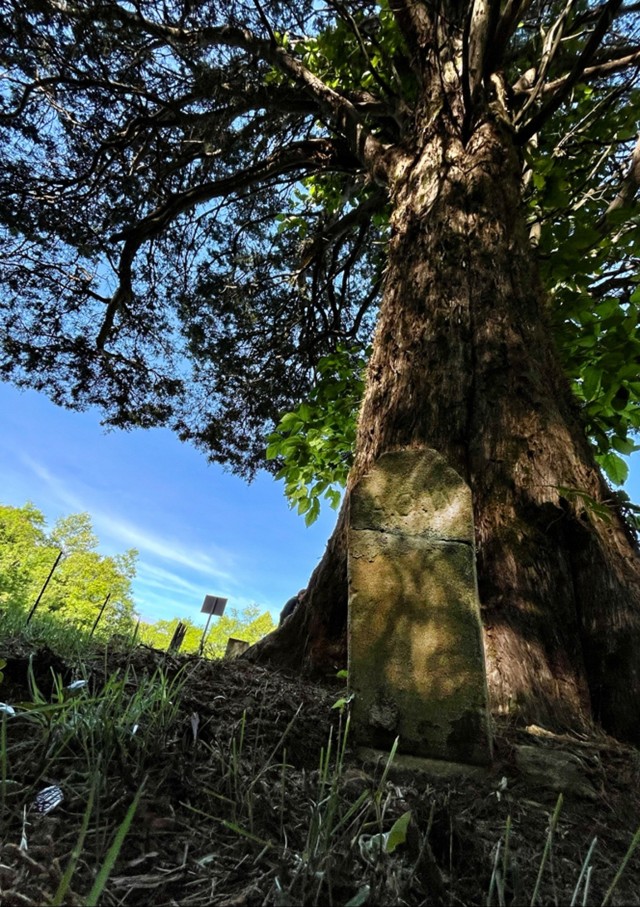 Travelers unearth forgotten histories during 2025 Memorial Day cemetery visitation
