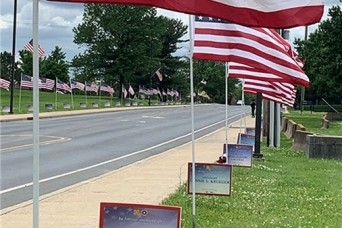 Fort Detrick annually honors and recognizes the sacrifice of our nation’s fallen military heroes and their families through a visual display on the inst...