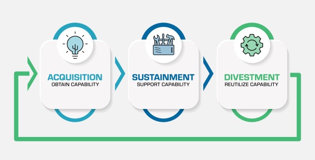 LIFE CYCLE AT A GLANCE