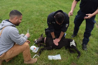 Canine Tactical Combat Casualty Care Training Enhances Military Working Dog Skills and Host Nation Partnerships