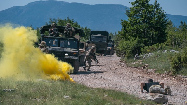 Maryland Army National Guard Soldiers of the 200th Military Police Company, 115th Military Police Battalion, and members of the Armed Forces of Bosnia and Herzegovina Light Infantry Battlegroup apprehend a suspect while conducting reconnaissance...