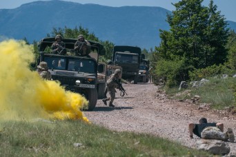 Maryland Guard, Croatia Support Immediate Response 25