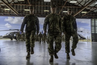 Diamond Head Battalion Welcomes New Commander During Wheeler Army Airfield Ceremony