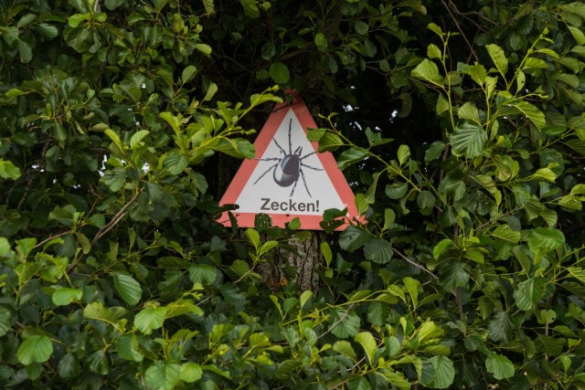 In Bavaria, there is a high potential for Lyme disease (borreliosis bacteria) or tickborne encephalitis (TBE) caused by ticks.