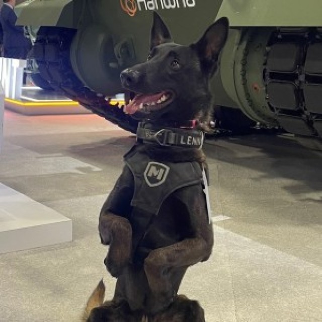 GOOD BOY