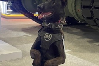 DOGS ON DUTY