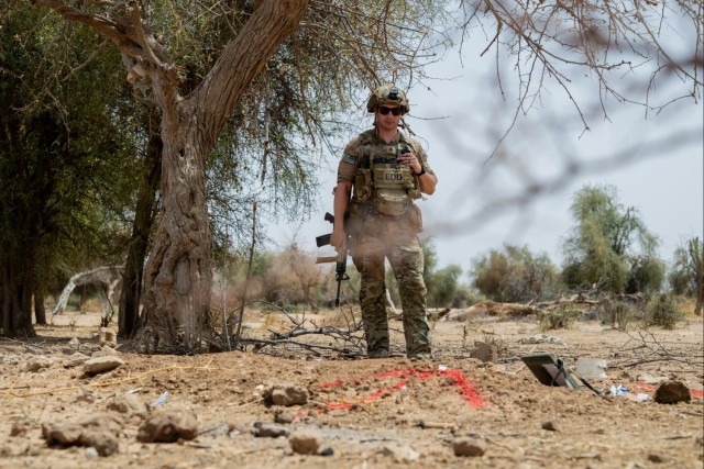 Explosive Ordnance Disposal techs train with multinational troops at Exercise African Lion