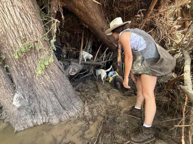 U.S Army Lt. Emily Ake works with cadaver dogs during search, recovery mission