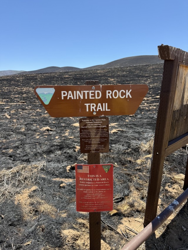 Painted Rock Train in central California