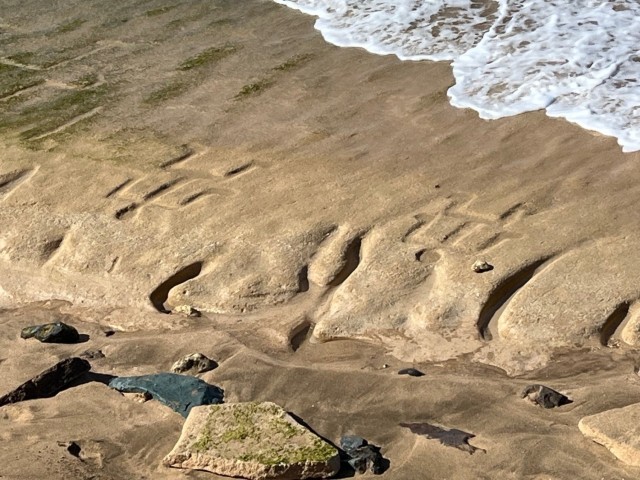 Ancient Hawaiian Petroglyphs revealed at Pililaau Army Recreation Center