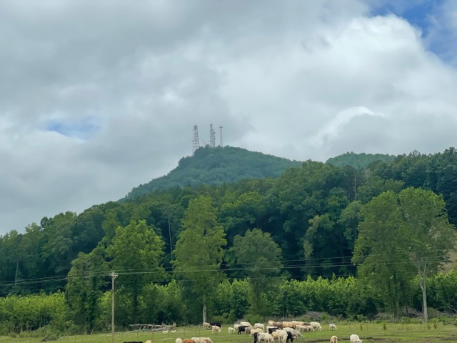 US Army EOD technicians pay tribute to airborne pioneers during Currahee Mountain run