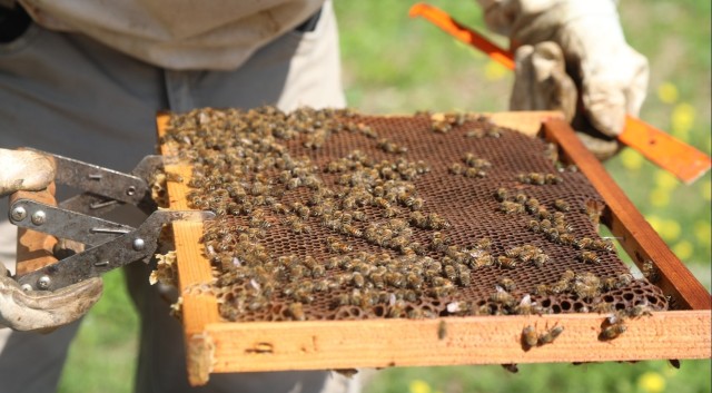 207th Military Intelligence Brigade - Theater, supports environmental and legal Efforts in Italy