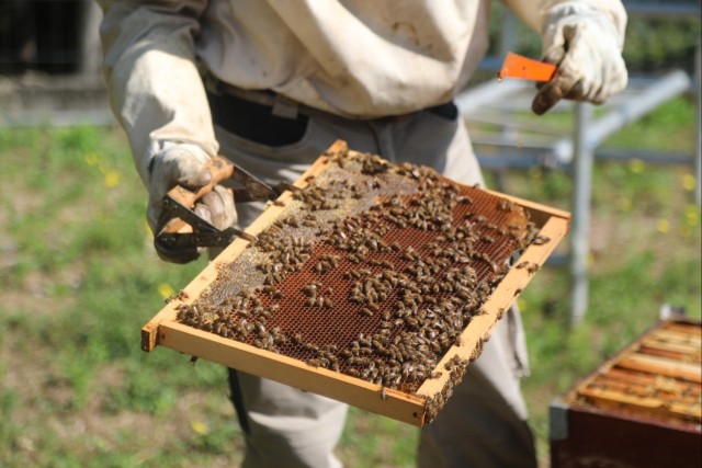 207th Military Intelligence Brigade - Theater, supports environmental and legal Efforts in Italy