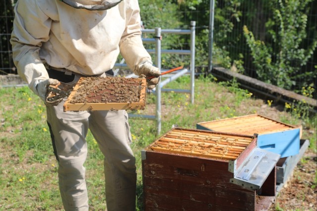 207th Military Intelligence Brigade - Theater, supports environmental and legal Efforts in Italy