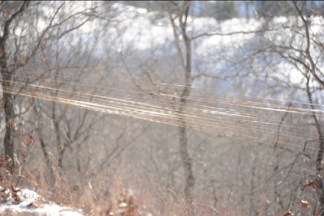 Figure 3. Fiber optic cables, like wires, reveal positions