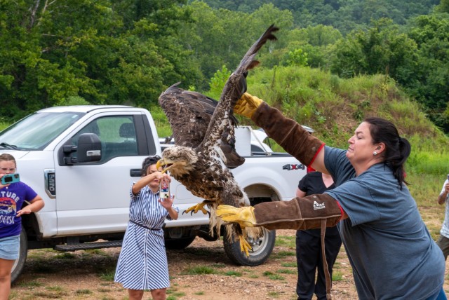 Bethany Gates, Dickerson Park Zoo lead North America zookeeper, releases a rehabilitated bald eagle Aug. 7 at Fort Leonard Wood.