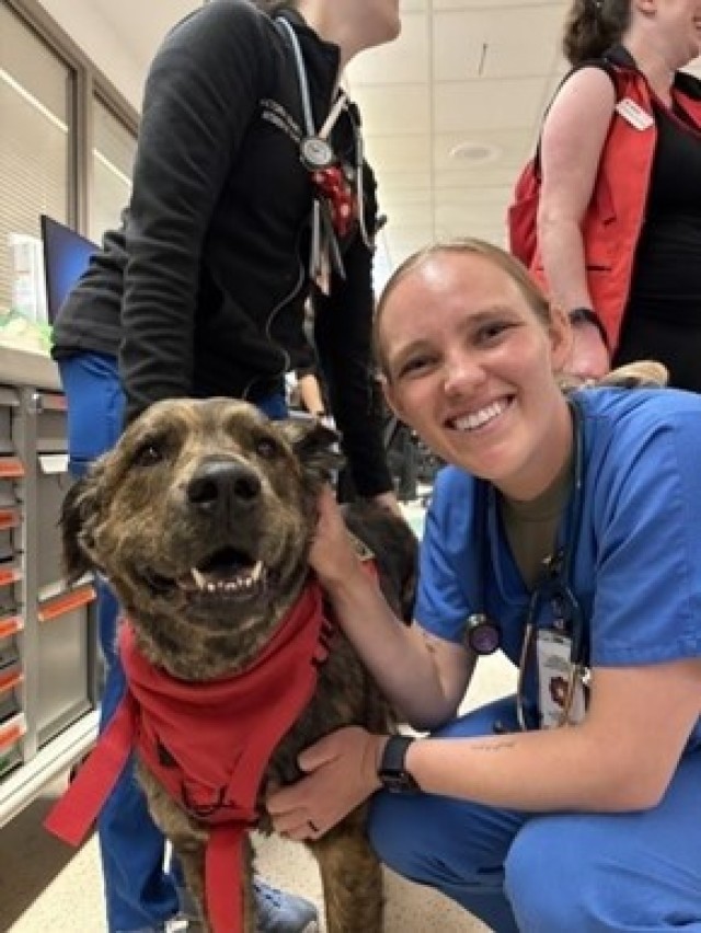 WAMC 2025 Nurse Summer Training Program a Success