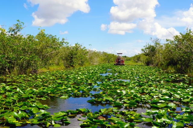 America's Everglades - The largest subtropical wilderness in the United States...