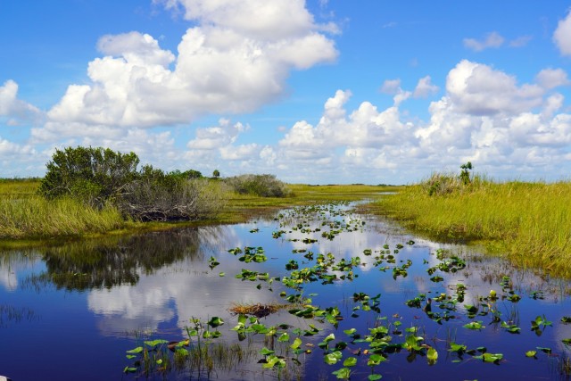 America's Everglades - The largest subtropical wilderness in the United States...