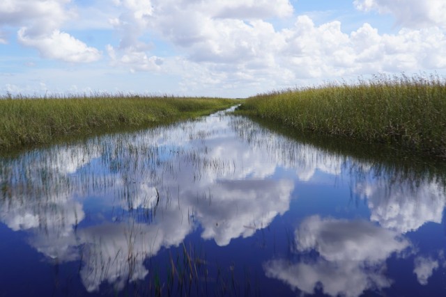 America's Everglades - The largest subtropical wilderness in the United States...