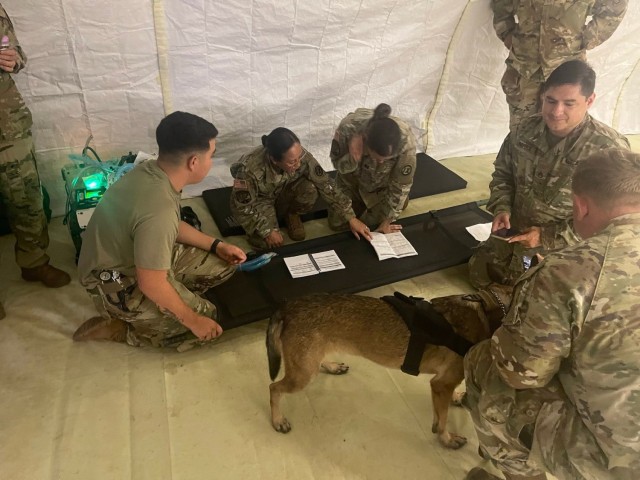 1984th USAH Supports Joint Medical Operations During Operation Tabula Rasa