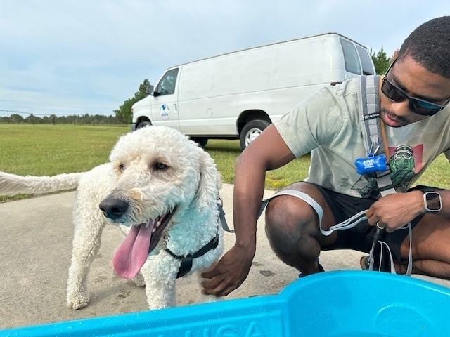 Doodles Bring Smiles and Connection to Fort Bragg Community
