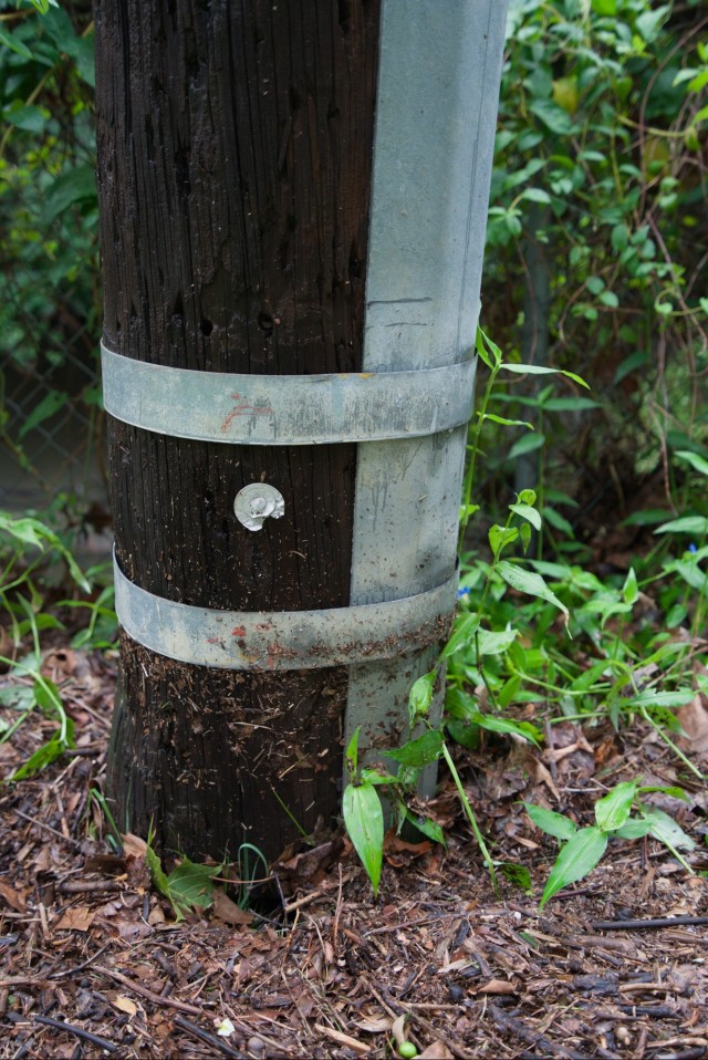‘Like a detective looking for evidence in a crime scene’: How collecting high-water marks helps flood risk reduction efforts