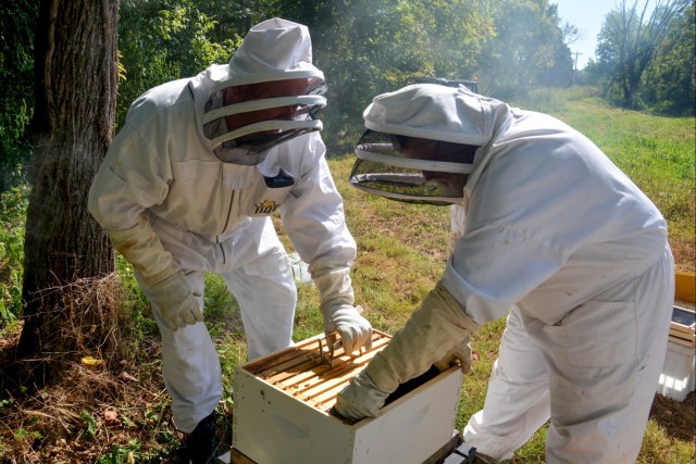 Patoka lake staff prepare beehives for the winter