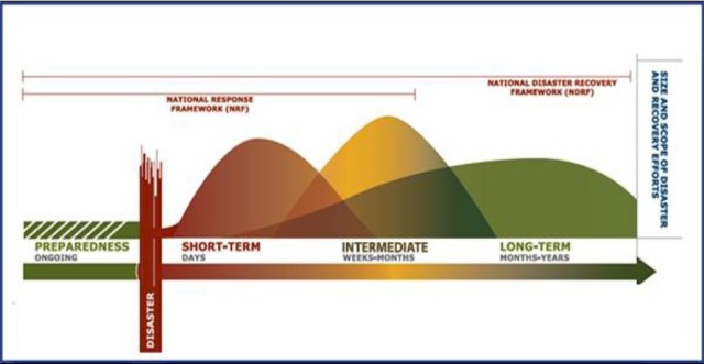 Figure 2: FEMA National Disaster Recovery Framework (FEMA)