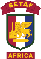 U.S. Army Southern European Task Force, Africa logo