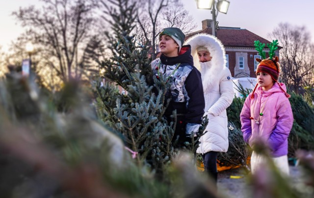 About 250 Christmas trees will also be offered free to all service members and their families immediately following the tree lighting.