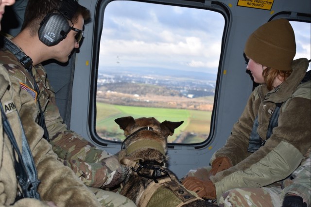 Military Working Dogs Enhance Readiness Through Helicopter MEDEVAC Training