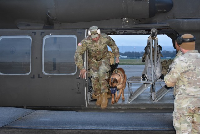Military Working Dogs Enhance Readiness Through Helicopter MEDEVAC Training