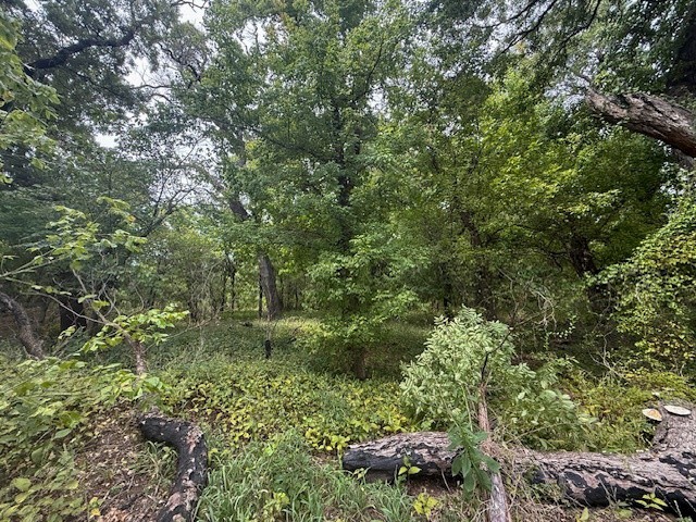 Fort Sill Habitat Restoration Cuts Wildfire Risk, Grows New Opportunities for Hunters