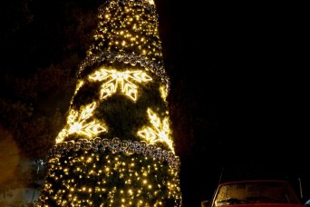 The U.S. Army Garrison Poland hosted its annual Tree Lighting Ceremonies at four installation sites: Poznań, Powidz, Drawsko Pomorskie Training Area, an...