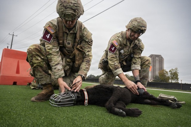 U.S. Army Sgt. 1st Class Gregory Gilbert an anatomy and physiology instructor, right, and Capt. Thomas Garcia a Basic Officer Leader Course instructor, with the 187th Medical Battalion, examine a K9 Hero mannequin in the K9 Tactical Combat...