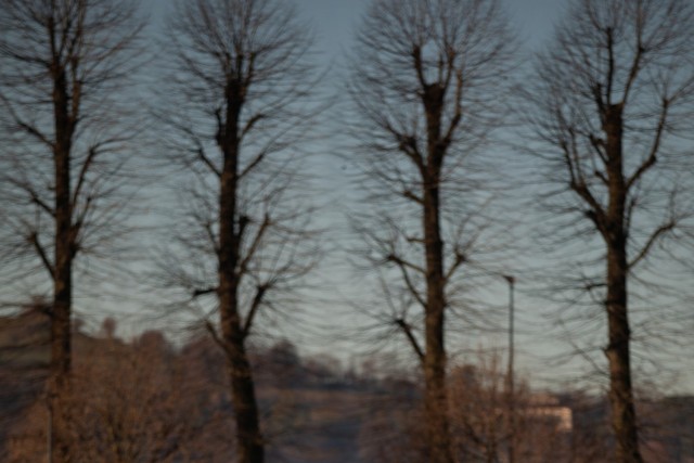 Vicenza hosts Holiday Cup soccer tournament, showcasing readiness and camaraderie across Europe