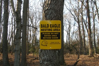 Eagle Nesting Season Returns to Aberdeen Proving Ground
